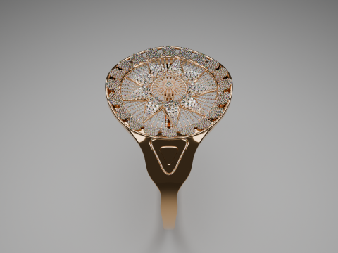 Beautiful 3d Ring Model Modelo 3D