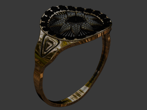 Beautiful 3d Ring Model Modelo 3D