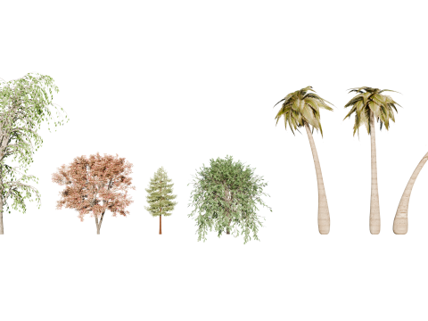 High-Quality 3D Trees Pack 7 Models Model 3D