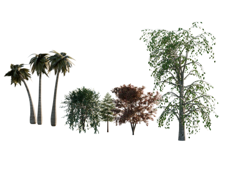 High-Quality 3D Trees Pack 7 Models 3D-Modell