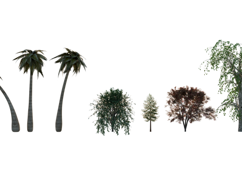High-Quality 3D Trees Pack 7 Models 3D-Modell