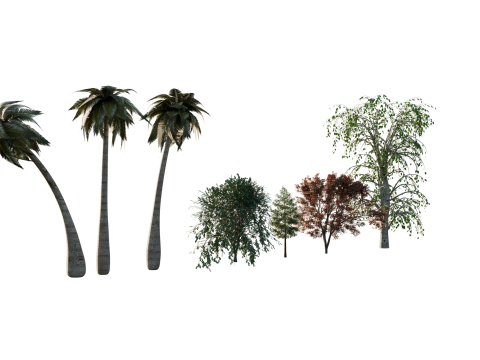 High-Quality 3D Trees Pack 7 Models 3D-Modell