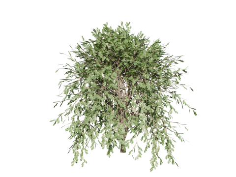 High-Quality 3D Trees Pack 7 Models 3D-Modell