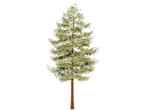 High-Quality 3D Trees Pack 7 Models 3D-Modell