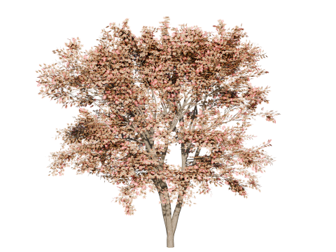 High-Quality 3D Trees Pack 7 Models 3D-Modell