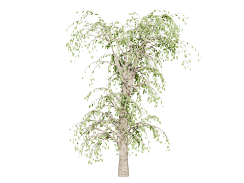 High-Quality 3D Trees Pack 7 Models 3D-Modell