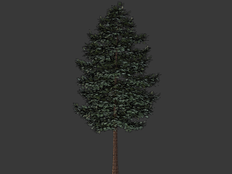 High-Quality 3D Trees Pack 7 Models 3D-Modell