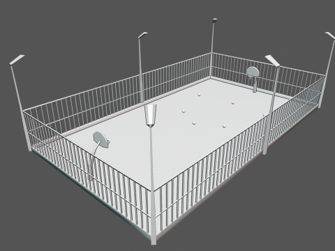 Basketball Court and 6 balls 3D Model