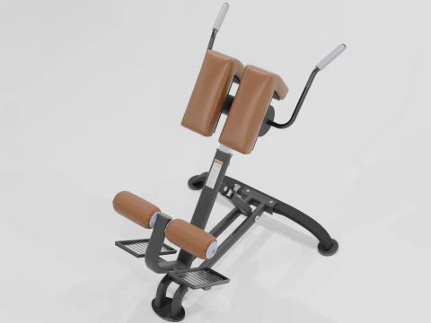 Hiperextens&otilde;es Modelo 3D