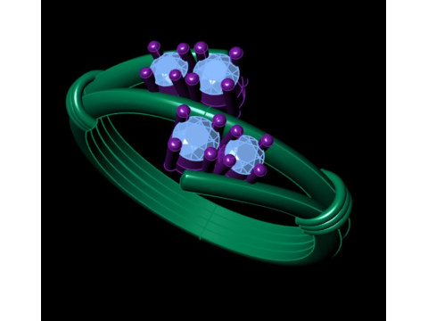 Women ring 3D Принт Модель