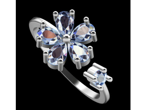 Anello da donna Modello di stampa 3D