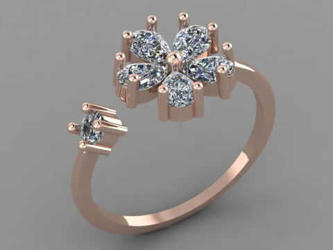 Anello da donna Modello di stampa 3D