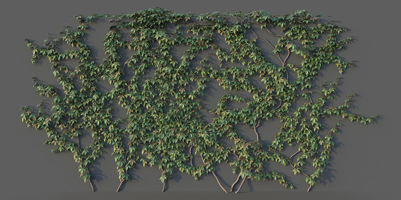 Grape Wall Set 3D 모델 .c4d .max .obj .3ds .fbx .stl .blend