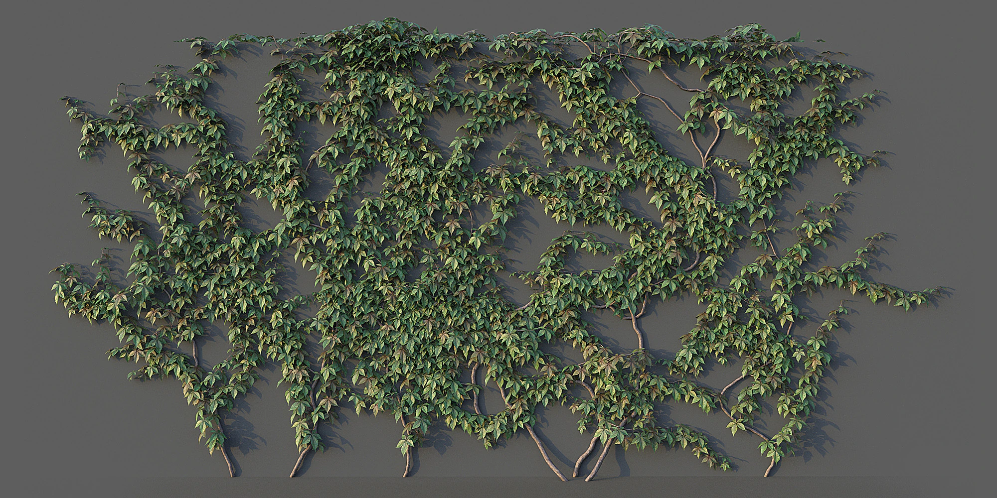 Conjunto de parede de uva Modelo 3D .c4d .max .obj .3ds .fbx .stl .blend 