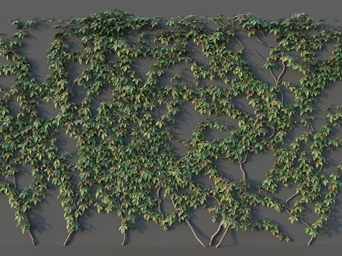 Grape Wall Set Modelo 3D