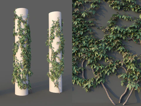 Conjunto de parede de uva Modelo 3D