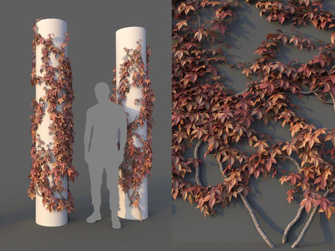 Conjunto de parede de uva Modelo 3D