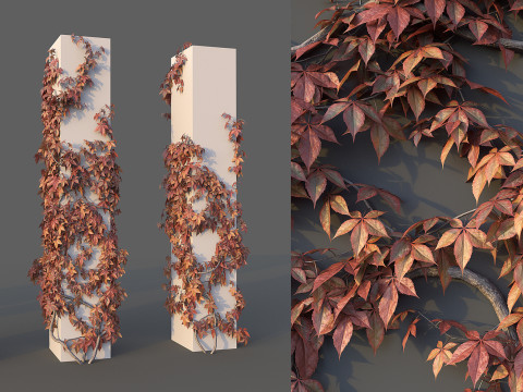Grape Wall Set 3D 모델