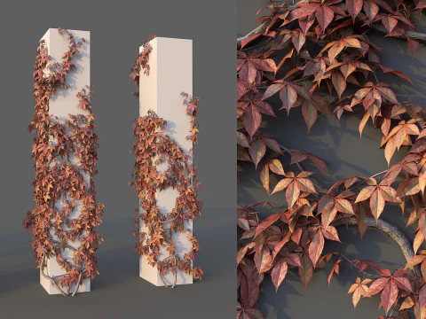 Conjunto de parede de uva Modelo 3D
