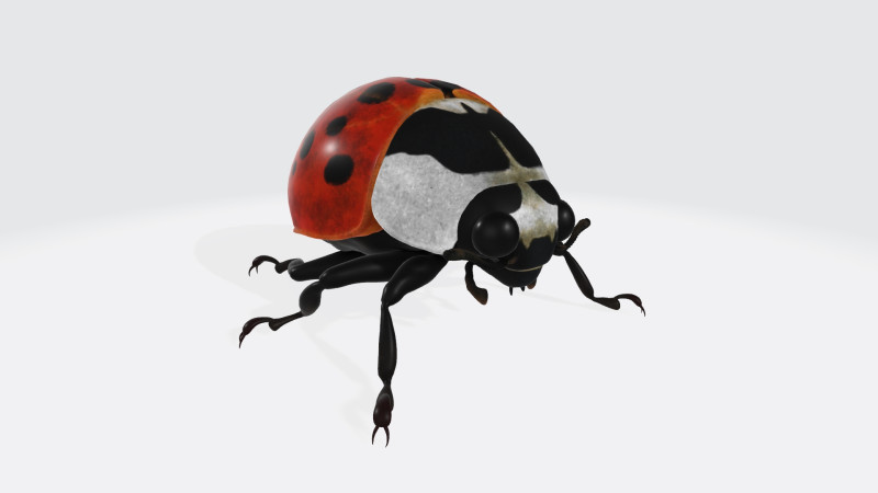 Ladybug Animal Ready to Print 3Dモデル .c4d .max .obj .3ds .fbx .stl .blend