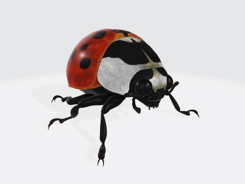Ladybug Animal Ready to Print 3D मॉडल