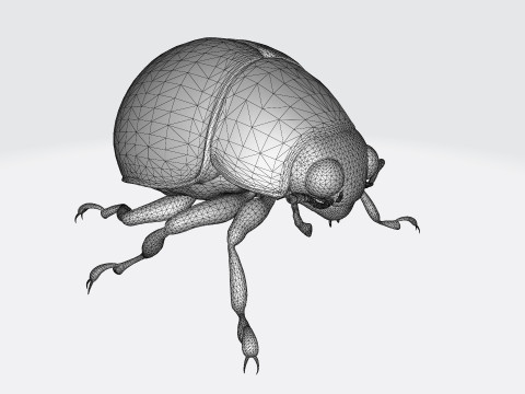 Ladybug Animal Ready to Print 3Dモデル