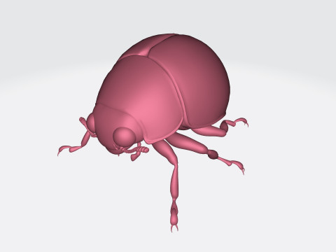 Ladybug Animal Ready to Print 3Dモデル
