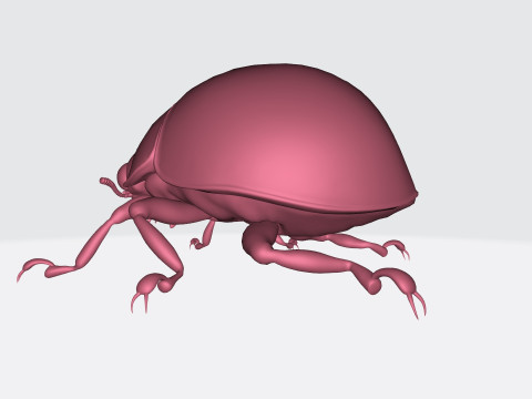 Ladybug Animal Ready to Print 3Dモデル