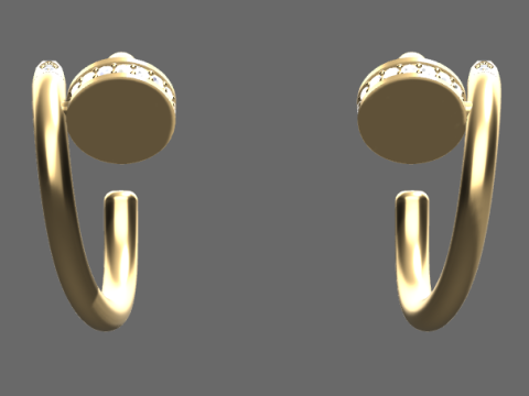 Beautiful and fashionable earrings 3D Print Model