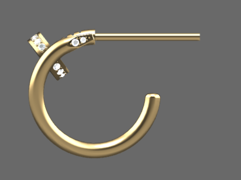 Beautiful and fashionable earrings 3D Print Model