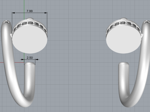Beautiful and fashionable earrings 3D Print Model