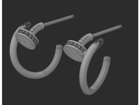 Beautiful and fashionable earrings 3D Print Model