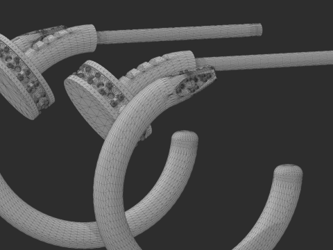Beautiful and fashionable earrings 3D Print Model