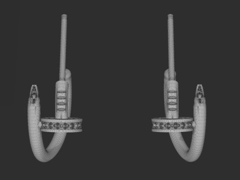 Beautiful and fashionable earrings 3D Print Model