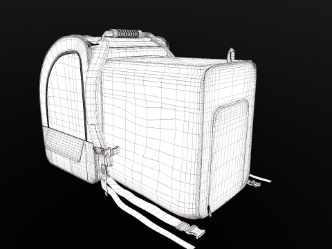 Large Makeup Case 3D Model