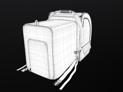 Large Makeup Case 3D Model