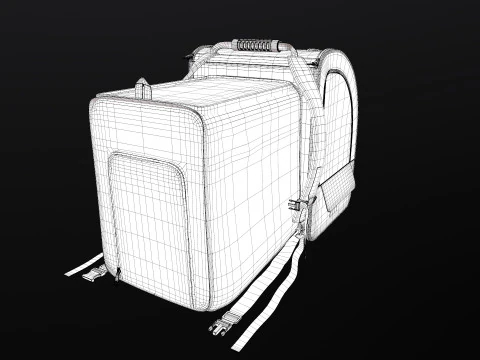Large Makeup Case 3D Model