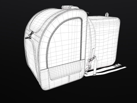 Large Makeup Case 3D Model