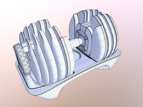Adjustable weight Model 3D