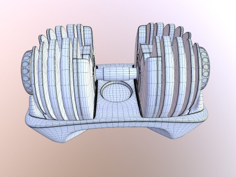 Adjustable weight Model 3D
