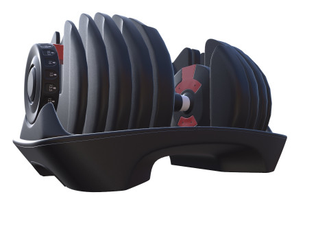Adjustable weight Model 3D
