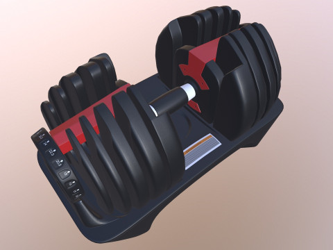 Adjustable weight Model 3D