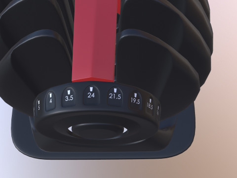 Adjustable weight Model 3D