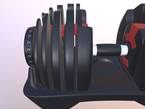 Adjustable weight Model 3D