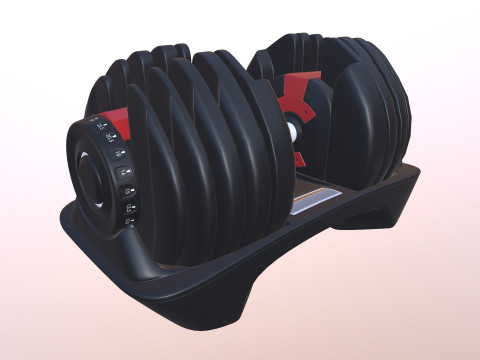 Adjustable weight Model 3D