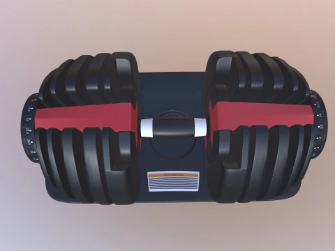 Adjustable weight 3D Model