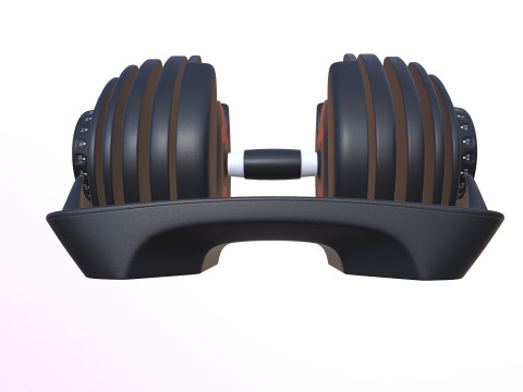 Adjustable weight Model 3D