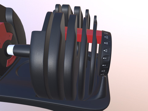 Adjustable weight Model 3D