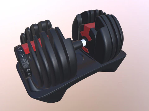 Adjustable weight 3D Model