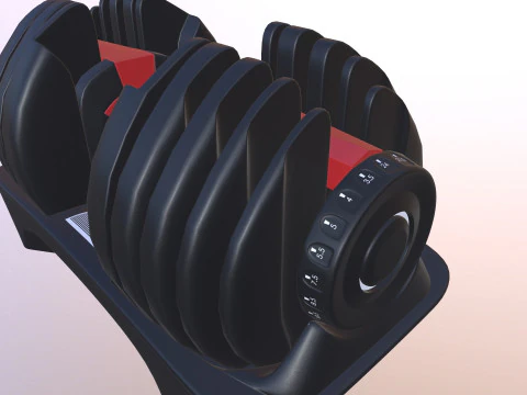 Adjustable weight 3D Model
